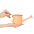 Decorative watering can set in pastel salmon, green, yellow-green - metal planter Ø11cm H10cm, 8 pieces | Floristik24.ie