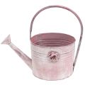 Floristik24 Decorative watering can made of metal pink L33cm W12cm H29cm