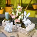 Floristik24 Decorative rabbit, garden figure in concrete look, shabby chic, Easter decoration with silver accents H21/14cm set of 2