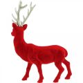 Floristik24 Decorative deer decorative figure decorative reindeer flocked red H40cm