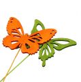 Floristik24 Decorative wooden butterfly assorted 8cm 18pcs