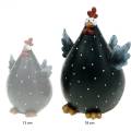 Floristik24 Decorative chicken, spring figure, Easter decoration, hen, chicken decoration 18cm