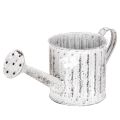 Floristik24 Decorative watering can, planter, watering can for planting Ø10.5cm