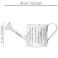 Decorative watering can, planter, watering can for planting Ø10.5cm | Floristik24.ie