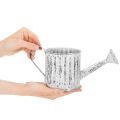 Decorative watering can, planter, watering can for planting Ø10.5cm | Floristik24.ie