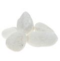 Floristik24 Deco pebbles in the net white 1cm - 2.5cm 1kg