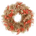 Floristik24 Decorative wreath dried flowers flower wreath orange cream Ø25cm