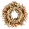 Decorative wreath dried flowers flower wreath orange cream Ø25cm | Floristik24.ie