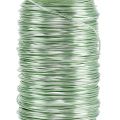 Floristik24 Deco enameled wire mint green Ø0.50mm 50m 100g