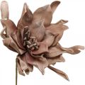 Deco lotus flower artificial lotus flower artificial flower brown L68cm