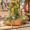 Floristik24 Decorative carrot, concrete decoration for planting, Easter, carrot plant pot, spring decoration L28cm
