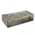 Decorative moss, grey natural moss for crafting, dried and dyed, 500g | Floristik24.ie