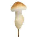 Floristik24 Deco mushroom on wire 3cm - 5cm 24p