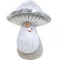 Floristik24 Deco mushroom gnome figure mushroom gnome grey, white 7×9cm 2pcs