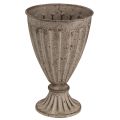 Floristik24 Decorative trophy planter antique look grey brown Ø13cm H19cm