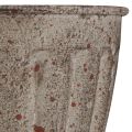 Decorative trophy planter antique look grey brown Ø13cm H19cm | Floristik24.ie