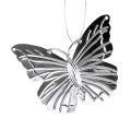 Floristik24 Decorative butterflies to hang silver 5cm 36pcs