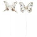 Floristik24 Decorative butterflies white, brown feather butterfly on wire 7.5cm 6pcs