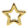 Floristik24 Deco star gold 6.5cm 6pcs