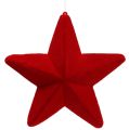 Floristik24 Deco star red flocked 20cm