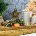 Floristik24 Decoration star, metal decoration on mango wood, Advent decoration W15cm
