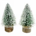 Floristik24 Christmas decoration, deco fir tree, mini fir green snowed H15cm Ø9.5cm 6pcs