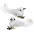 Floristik24 Deco pair of doves Deco birds with clip white L5cm 4pcs