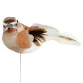 Floristik24 Decorative bird to stick brown 10cm 12pcs