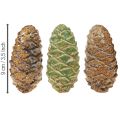 Decorative ceramic pine cones, assorted green, yellow, brown, 8.5cm, 6 pieces | Floristik24.ie