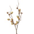 Floristik24 Decorative branch acorns decoration green autumn decoration artificial 80cm