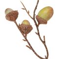 Decorative branch acorns decoration green autumn decoration artificial 80cm | Floristik24.ie