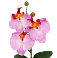 Floristik24 Decorative orchid in a pot pink H29cm