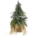 Floristik24 Deco Christmas tree mini fir jute bag glitter, green 26cm