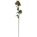 Floristik24 Deco branch mulberry, berry branch, mulberry branch green 78cm