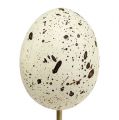 Floristik24 Decorative egg 5cm on a stick 12pcs