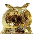 Floristik24 Decorative owl gold, glossy 12cm 4pcs