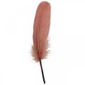 Decorative feathers for handicrafts Dusky pink real bird feathers 20g
