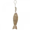 Deco fish, wooden fish Deco, fish pendant wood 21cm