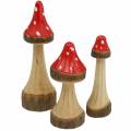Floristik24 Decorative toadstools made of wood red, natural 13.5cm - 19cm 3pcs