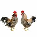 Floristik24 Easter decoration cock and hen with feathers nature H26cm set of 2