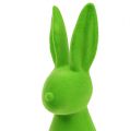 Floristik24 Deco rabbits green 30cm 2pcs