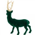 Floristik24 Deco deer standing green gold Christmas decoration figure 40cm