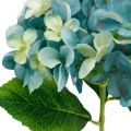 Floristik24 Decorative hydrangea blue artificial flower Artificial garden flower H35cm