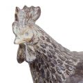 Floristik24 Deco chickens decorative figure garden figure chicken vintage H17cm 2pcs