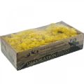 Floristik24 Deco moss yellow reindeer moss for handicrafts lemon yellow 500g