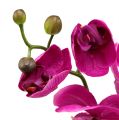 Floristik24 Decorative orchid pink L77cm