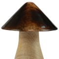 Floristik24 Decorative mushroom wooden mushroom natural brown gloss effect Ø7.5cm H10cm