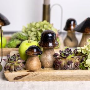Floristik24 Decorative mushrooms wooden mushrooms brown gloss effect autumn decoration H6/8/10cm