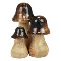 Floristik24 Decorative mushrooms wooden mushrooms brown gloss effect autumn decoration H6/8/10cm