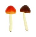 Floristik24 Deco mushrooms brown, orange 9cm 12pcs